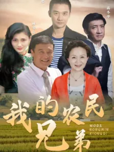 我的农民兄弟电视剧海报