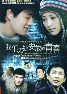 我们无处安放的青春电视剧海报