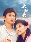 大码头电视剧海报