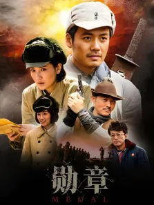 勋章电视剧海报