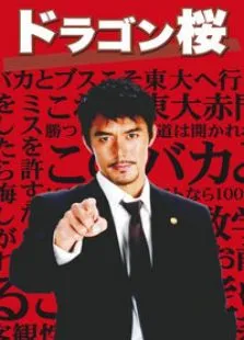 龙樱电视剧海报