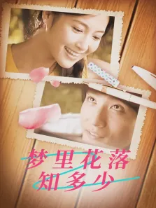 梦里花落知多少电视剧海报