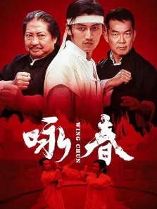 咏春电视剧海报