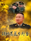 战地黄花分外香电视剧海报