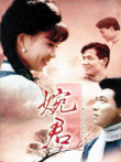 婉君电视剧海报