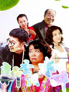 新圣水湖畔电视剧海报