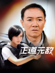 正道无敌电视剧海报
