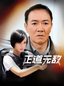 正道无敌电视剧海报