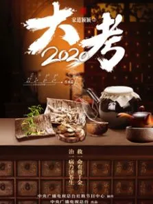 家道颖颖之大考2020电视剧海报