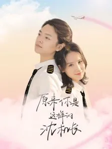原来你是这样的沈机长电视剧海报