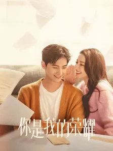 你是我的荣耀电视剧海报