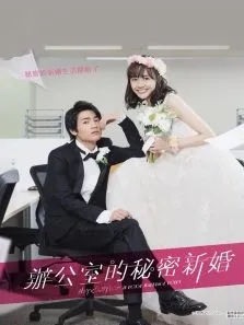 新婚甜心是同事电视剧海报