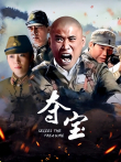 夺宝电视剧海报