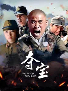 夺宝电视剧海报