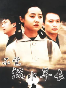 不觉流水年长电视剧海报