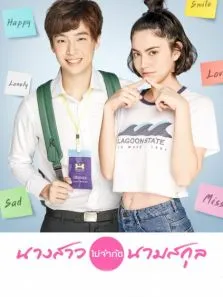 小姐芳名下电视剧海报