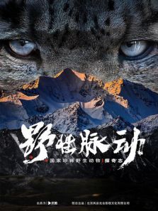 Ұ������������ϡҰ������̽��־