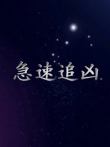 急速追凶电视剧海报