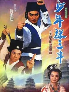少年张三丰电视剧海报