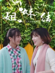 姐妹结电视剧海报