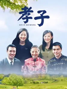 孝子电视剧海报