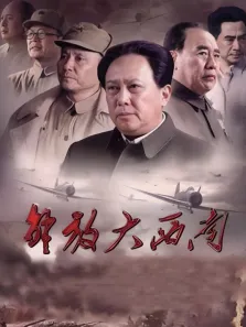 解放大西南电视剧海报