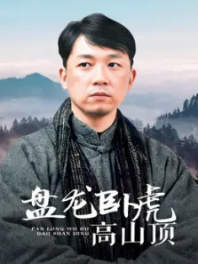 盘龙卧虎高山顶电视剧海报