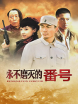 永不磨灭的番号电视剧海报