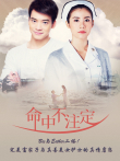命中不注定普通话版电视剧海报