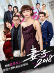 妻子2018普通话版电视剧海报