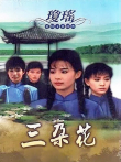 三朵花电视剧海报