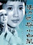 杨乃武与小白菜电视剧海报