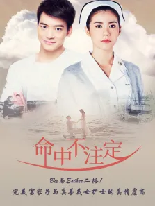 命中不注定普通话版电视剧海报