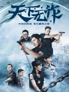 天下无诈电视剧海报