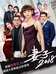 妻子2018普通话版电视剧海报