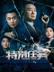 特别任务电视剧海报