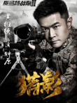 反恐特战队之猎影DVD版电视剧海报