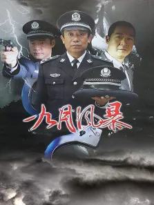 中国刑警之九月风暴电视剧海报
