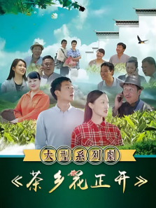 ���绨����