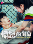愤怒的葡萄电视剧海报