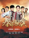 春华秋实电视剧海报