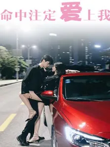 命中注定爱上我电视剧海报