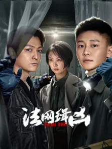 法网缉凶电视剧海报