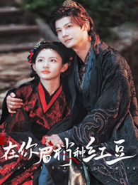 ����ü���ֺ춹