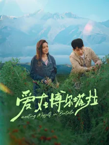 爱在博尔塔拉电视剧海报