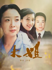 大姐电视剧海报