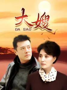 大嫂电视剧海报