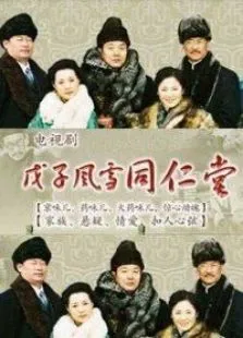戊子风雪同仁堂电视剧海报