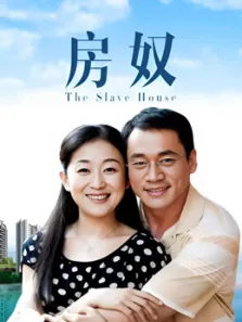 房奴电视剧海报