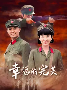幸福的完美电视剧海报